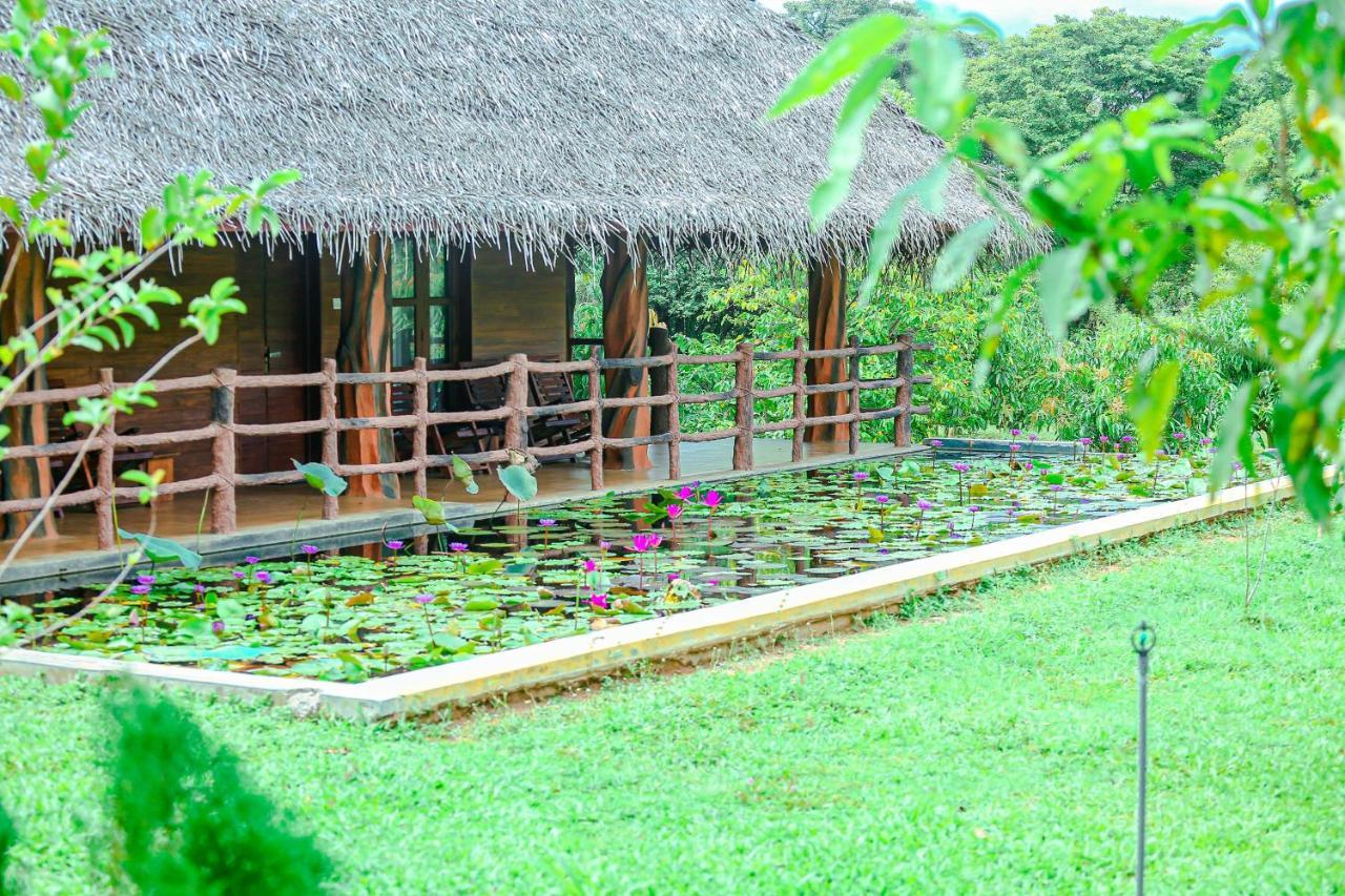 Sigiriya Water Cottage Eksteriør billede