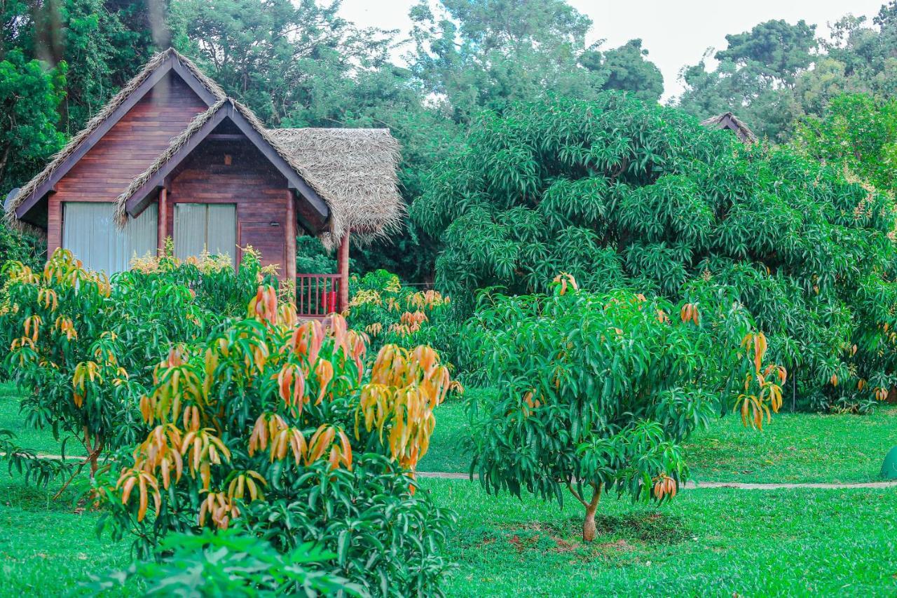 Sigiriya Water Cottage Eksteriør billede