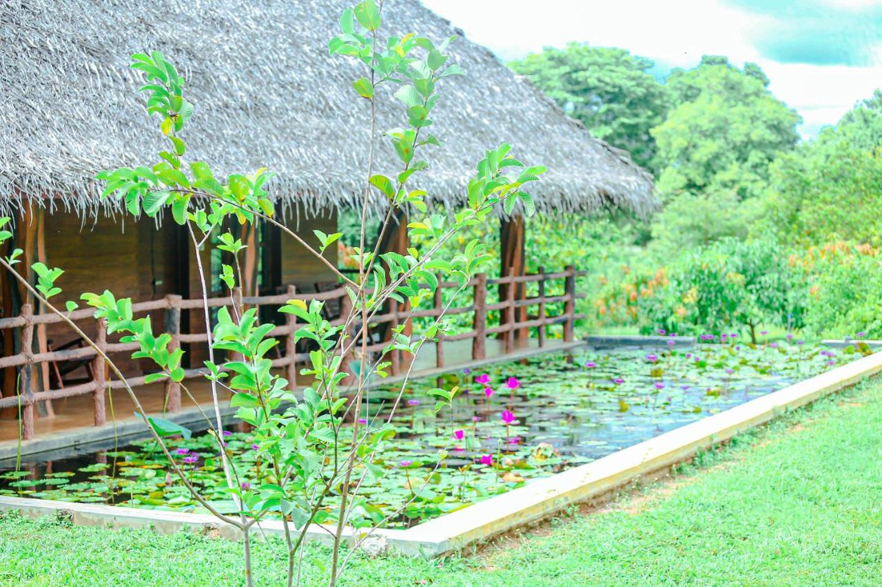 Sigiriya Water Cottage Eksteriør billede